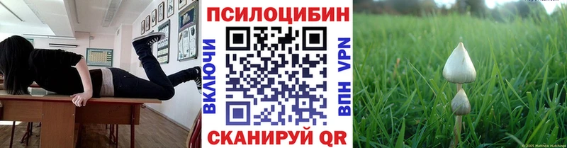 нарко площадка официальный сайт  Колпашево  Галлюциногенные грибы прущие грибы 